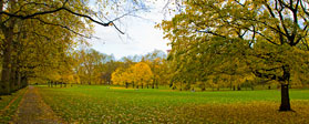 Hyde Park - Londra