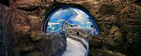 London Aquarium - Londra